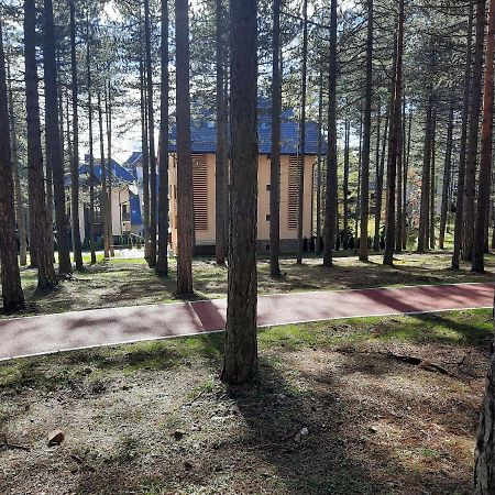 Zlatibor M Exterior foto